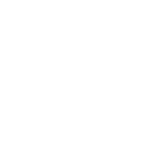 Deep Foundations Institute (DFI)